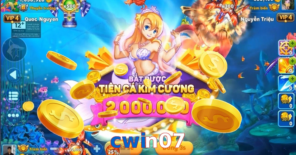 cwin07