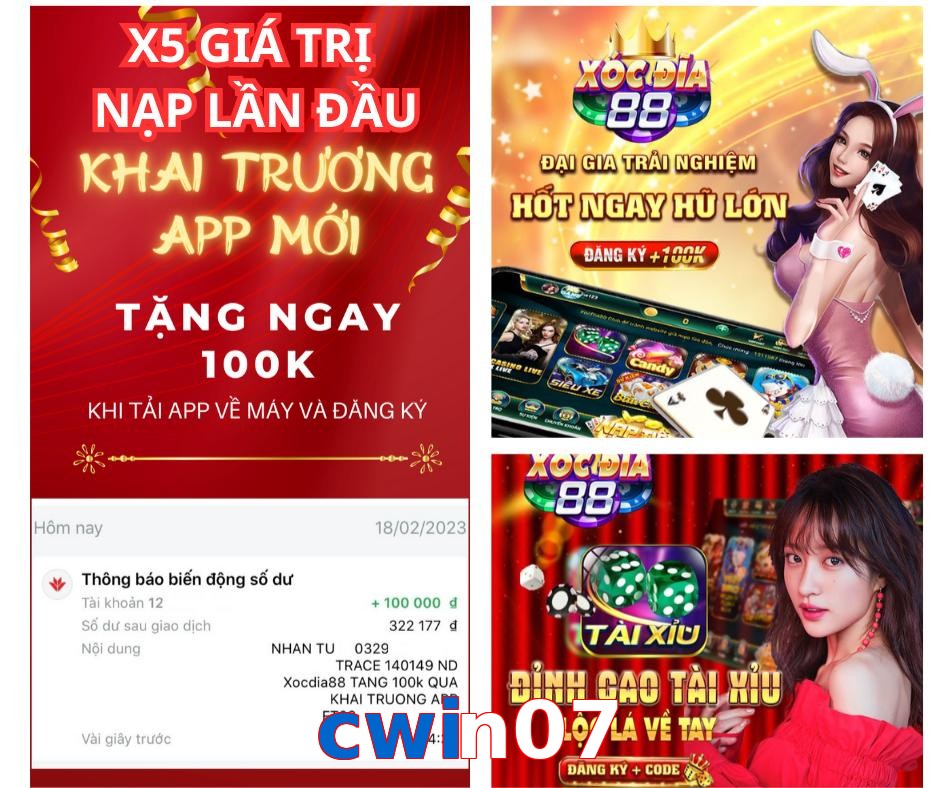 cwin07